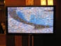 Zoomed-in view of the Live Digital Mosaic screen at the Nestlé Conference